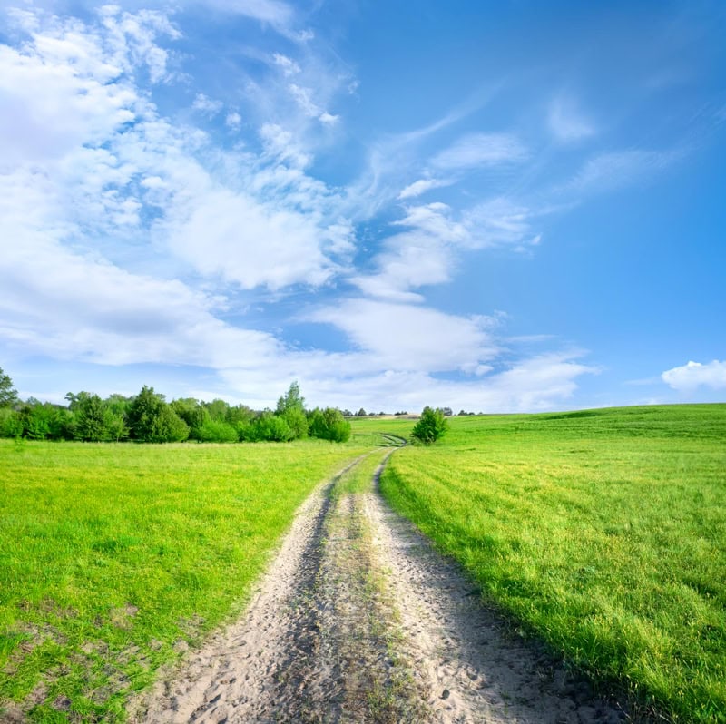Photo d'un chemin traversant une prairie verdoyante, représentant la simplicité et la clarté d'une navigation intuitive sur un site web.